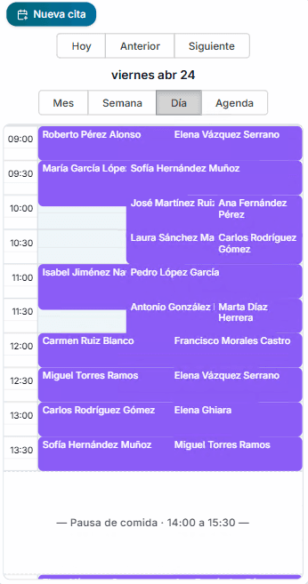 Panel de agenda de ClinicSmart en móvil — vista del día